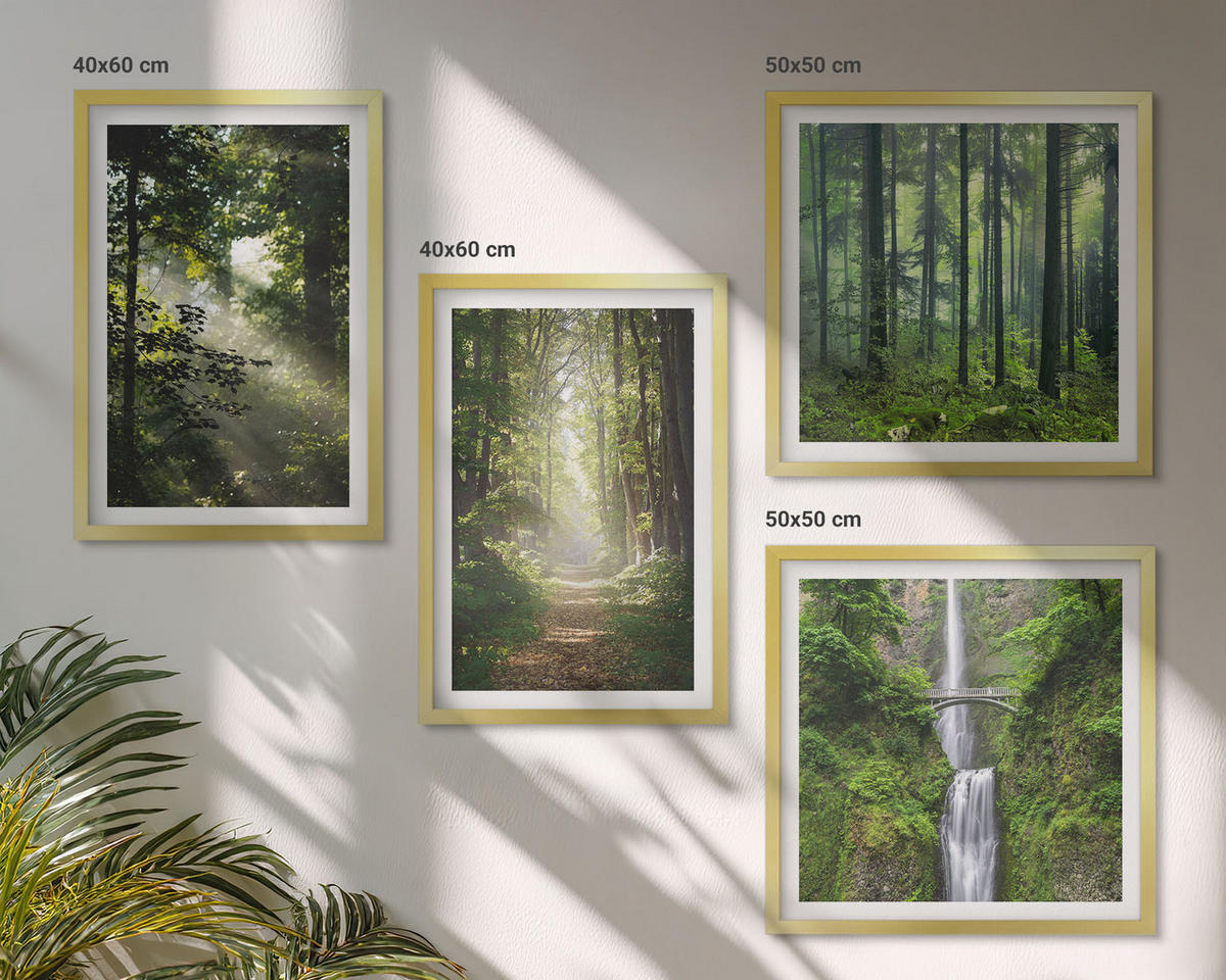 WANDBILDER 4er Set - 50x50 cm & 40x60 cm Goldrahmen - Grüne Wälder, Lichtstrahlen - Goldfarben, Kunststoff (50/50cm) - ArtPrintCave