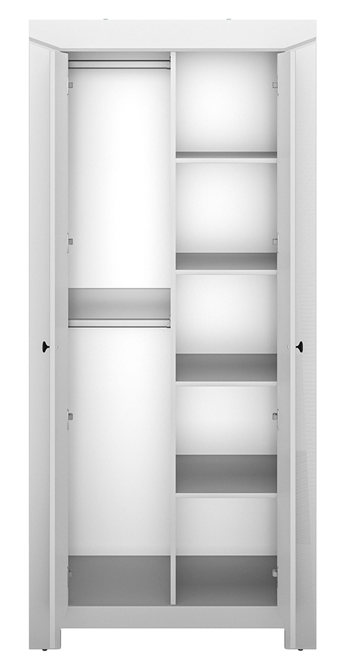 KLEIDERSCHRANK Terni silbergrau 91,5 / 51,5 / 200,5cm - Silberfarben/Grau, Holz/Holzwerkstoff (92/201/52cm) - Feldmann-Wohnen