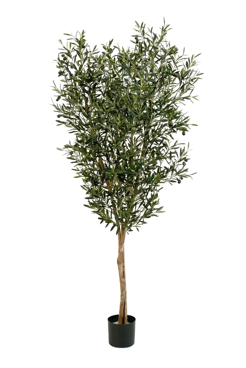 KÜNSTLICHE Olivenbaum - Ilona 180 cm - Grün, Kunststoff (180cm) - aplanta