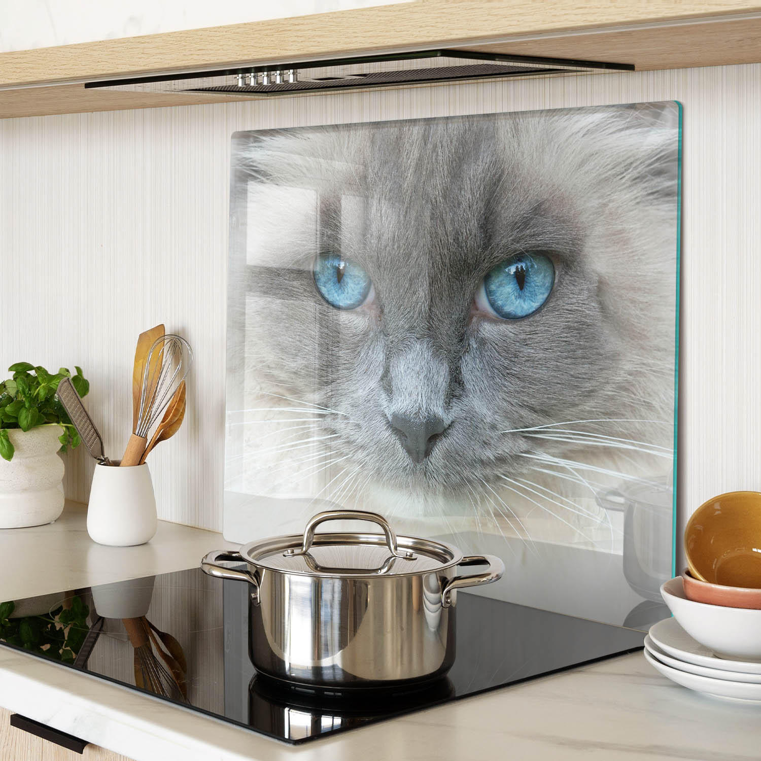 GLASPLATTE 60x52 cm Katze mit blauen Augen - Blau, Glas (60/0.4/52cm) - TULUP