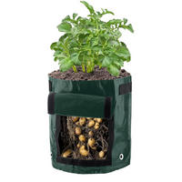PFLANZSACK - Dunkelgrün, Kunststoff (34/35/34cm)