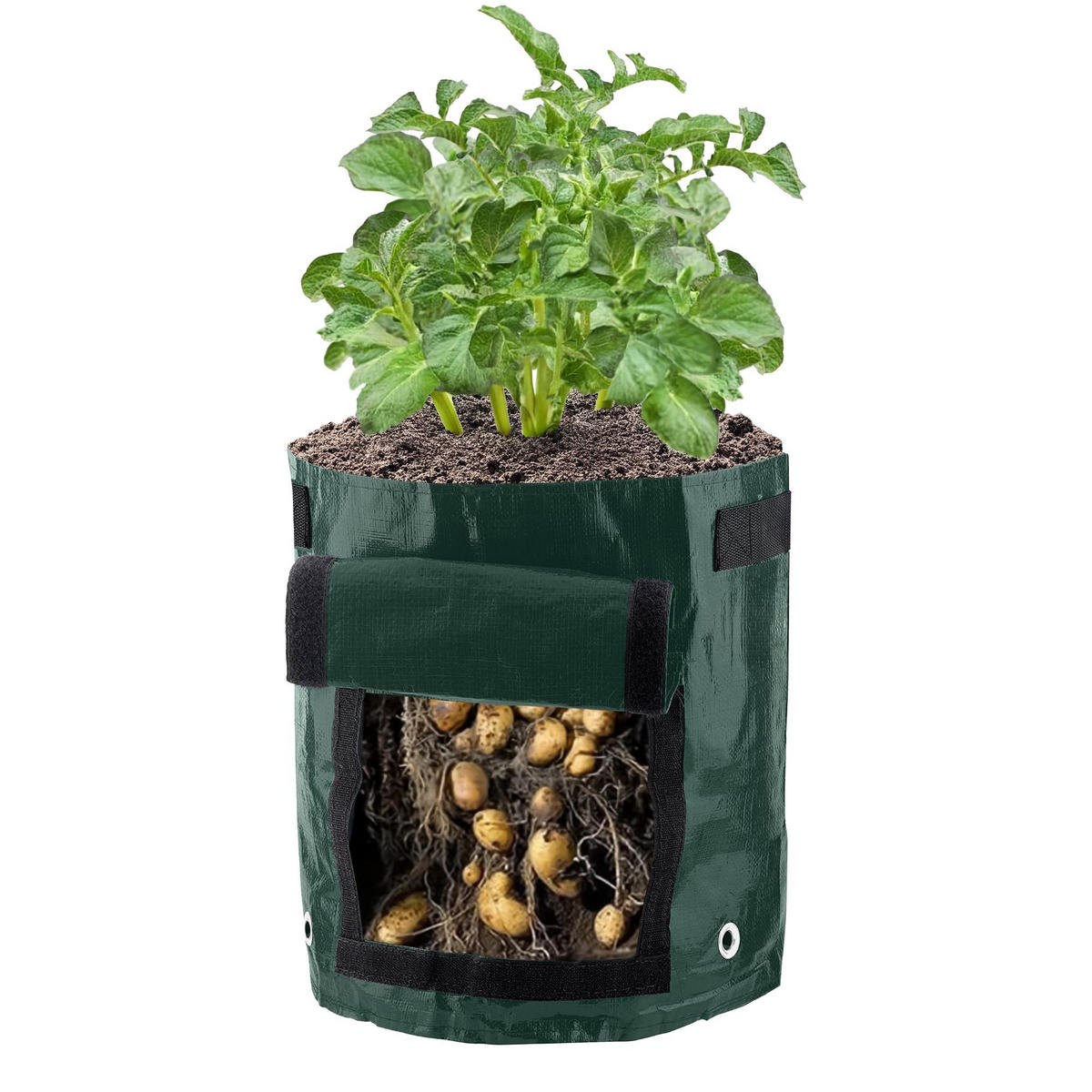 PFLANZSACK - Dunkelgrün, Kunststoff (34/35/34cm)