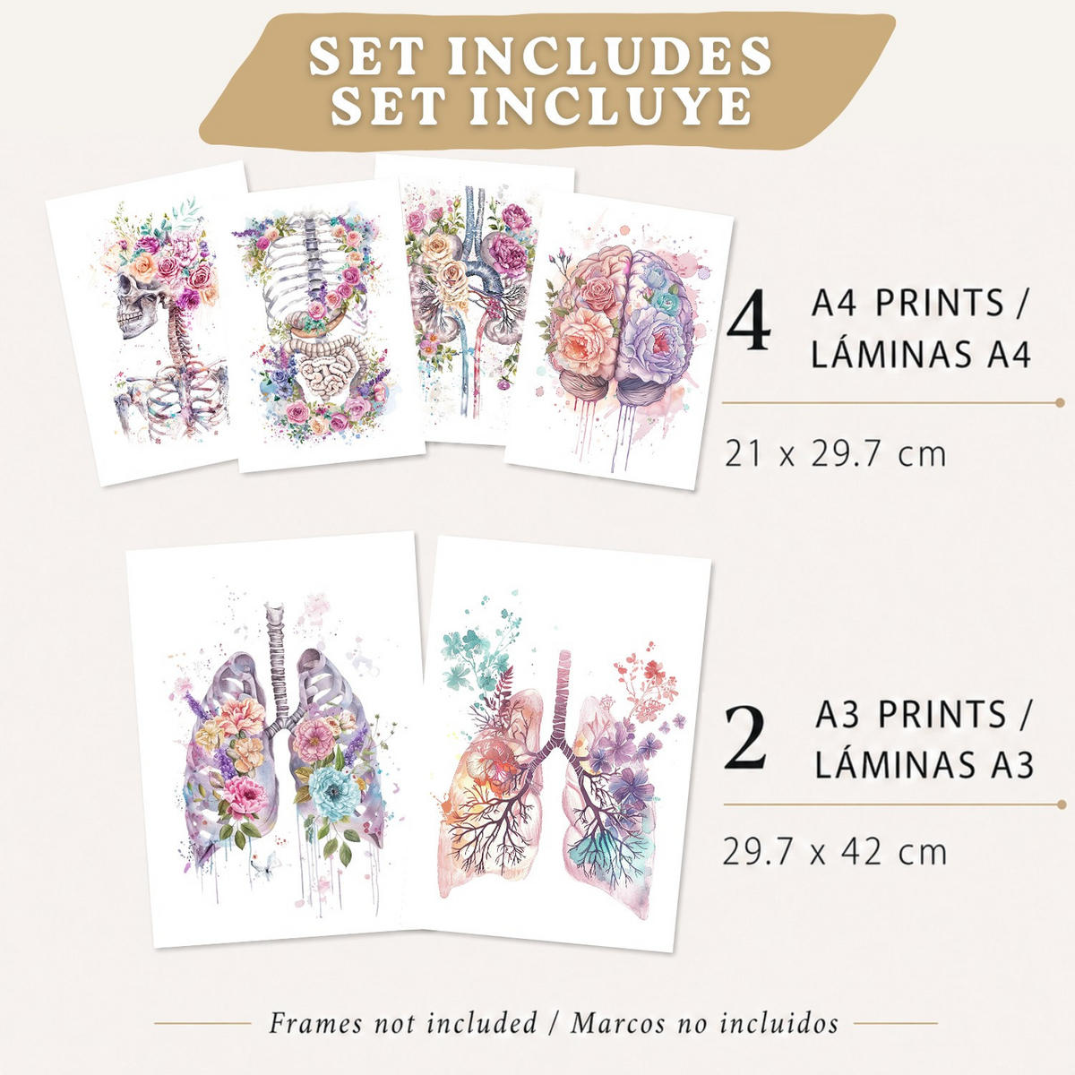 POSTER Set aus 6 Anatomie Mensch Florale Aquarell Drucke und mit Gehirn Lungen Skelett Nieren und Organen Botanische Größe Rahmenlos A3 & A4 - Klar, Papier (29.7/42/3cm) - Nacnic