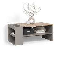 COUCHTISCH Piave Greige mit Regalen - Greige, Holzwerkstoff (55/100/42cm) - Livinity®
