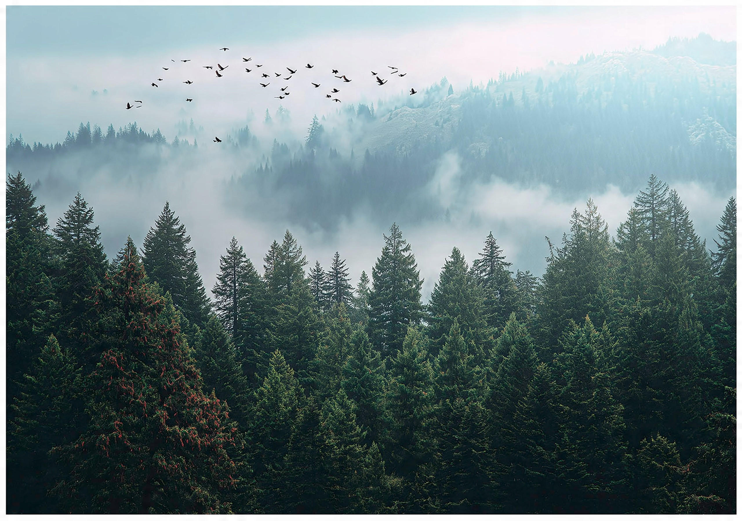 FOTOTAPETE Wald Nenbel 3D Effekt Natur Wohnzimmer 250x175 - Multicolor, Papier (250/175cm) - Wallarena