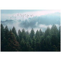 FOTOTAPETE Wald Nenbel 3D Effekt Natur Wohnzimmer 250x175 - Multicolor, Papier (250/175cm) - Wallarena