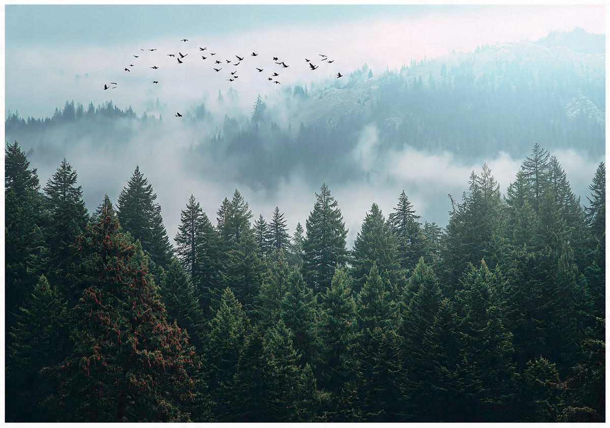 FOTOTAPETE Wald Nenbel 3D Effekt Natur Wohnzimmer 250x175 - Multicolor, Papier (250/175cm) - Wallarena