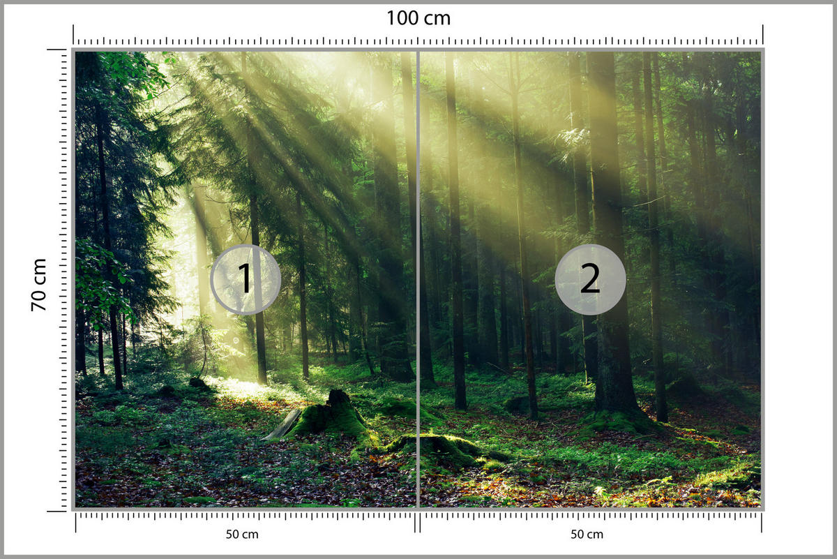 FOTOTAPETE für Schlafzimmer Sonnenaufgang Wald Bäume Moos 100x70 - Gelb/Braun, Papier (100/70cm) - Muralo