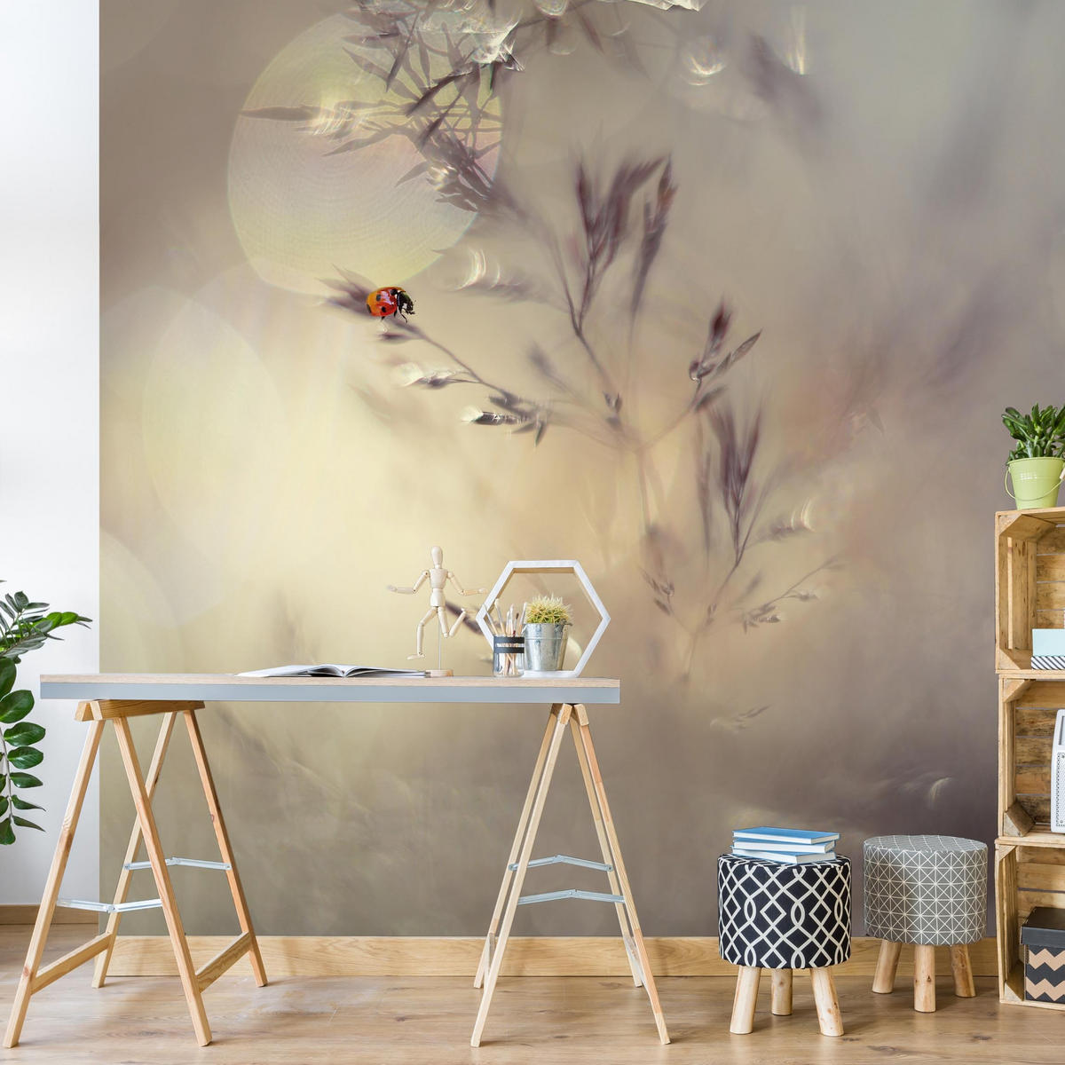 FOTOTAPETE Marienkäfer auf Wiesengras 240/240 cm - Eichefarben, Papier (240/240cm) - Bilderwelten