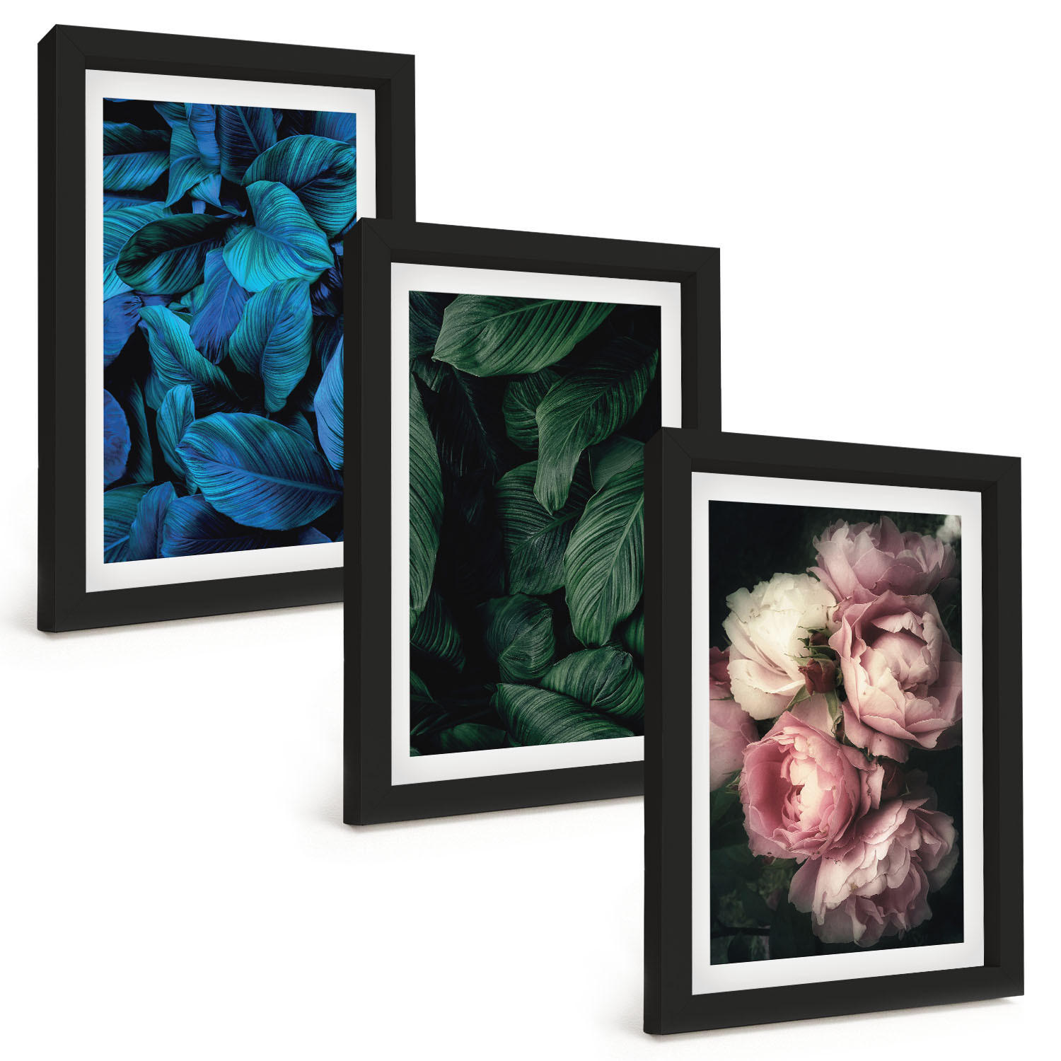 BILDER SET 3er Set - 20x30 cm Schwarzer Rahmen - Blätter, Blüten, verschiedene Farben - Schwarz, Kunststoff (20/30cm) - TULUP