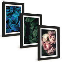 BILDER SET 3er Set - 20x30 cm Schwarzer Rahmen - Blätter, Blüten, verschiedene Farben - Schwarz, Kunststoff (20/30cm) - TULUP