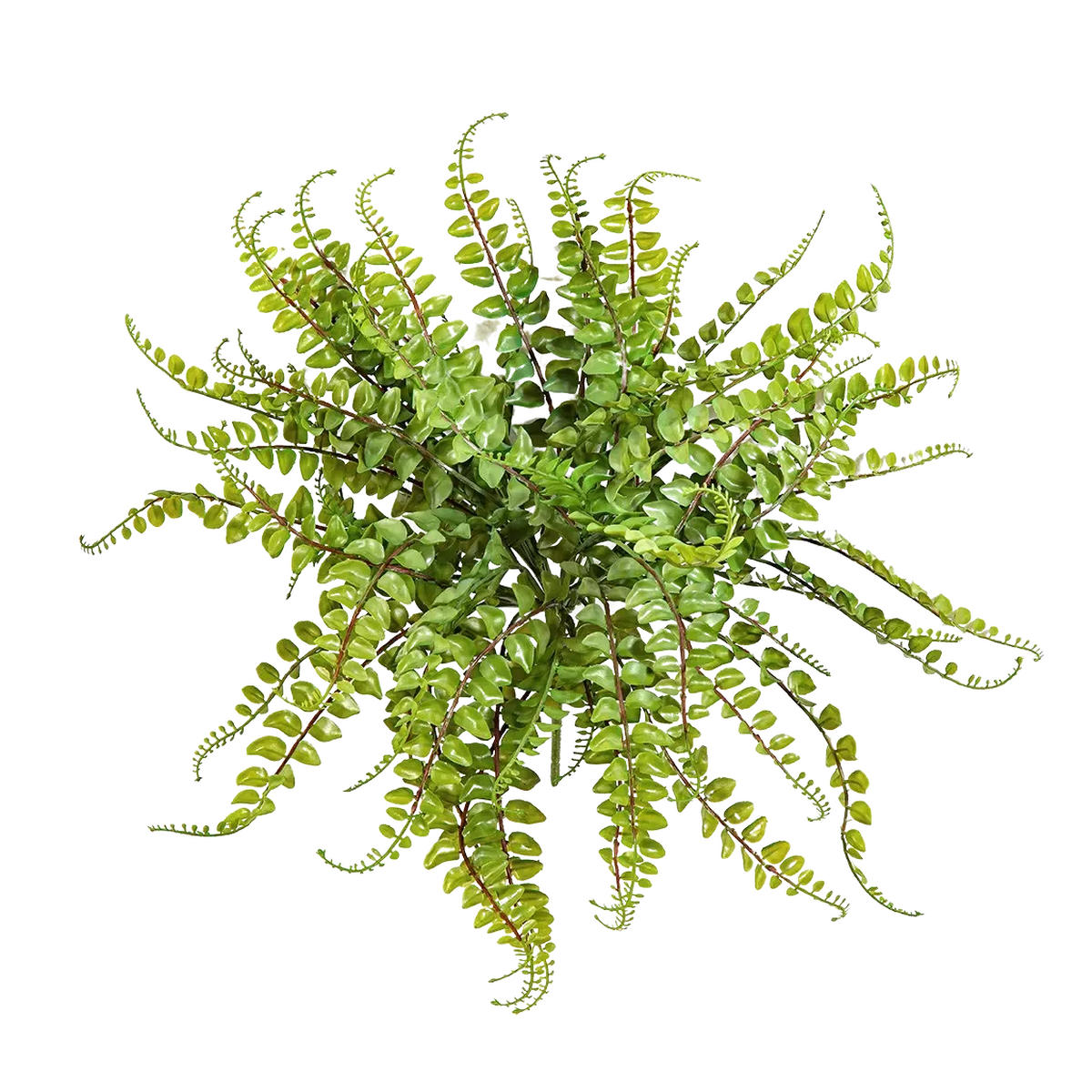 KÜNSTLICHER Streifenfarn - Carolina 40 cm - Grün, Kunststoff (40cm) - aplanta