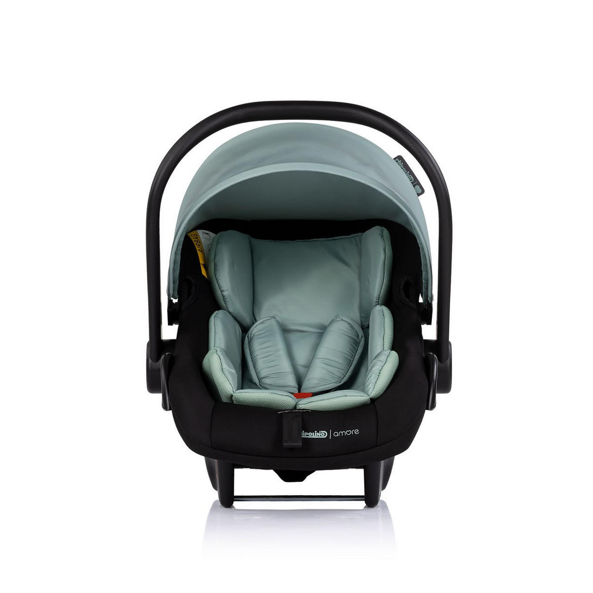 BABYSCHALE Isofix Set Amore i-Size türkis station Amore i-Size Gruppe 0+ (0 - 13 kg) - Grün, Kunststoff (40/56/62cm) - Chipolino