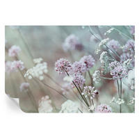 FOTOTAPETE 104x70 cm - Wildblumen - Weiß, Textil (104/70cm) - Wallfluent