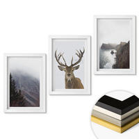 WANDBILDER 3er-Set - 20x30 cm Weißer Rahmen - Berglandschaft mit Hirschen - Weiß, Kunststoff (20/30cm) - ArtPrintCave