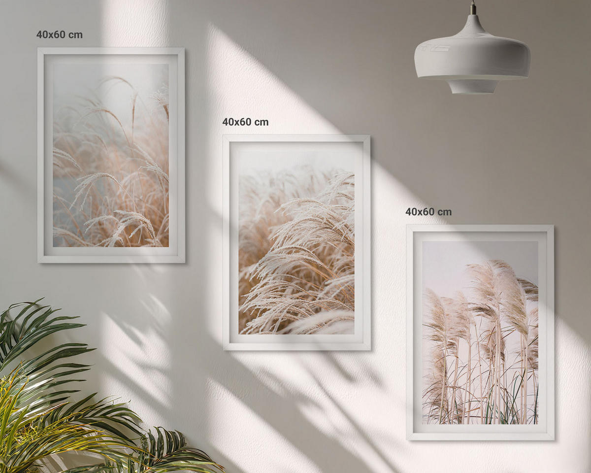 WANDBILDER 3er-Set - 40x60 cm Weißer Rahmen - Grasflächen in Braun- und Beigetönen - Weiß, Kunststoff (40/60cm) - ArtPrintCave
