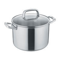 KOCHTOPF Tricion Resist mit Deckel, Silber, 24 cm - Silberfarben, Metall (12.2/9.06/6.69cm) - Berndes