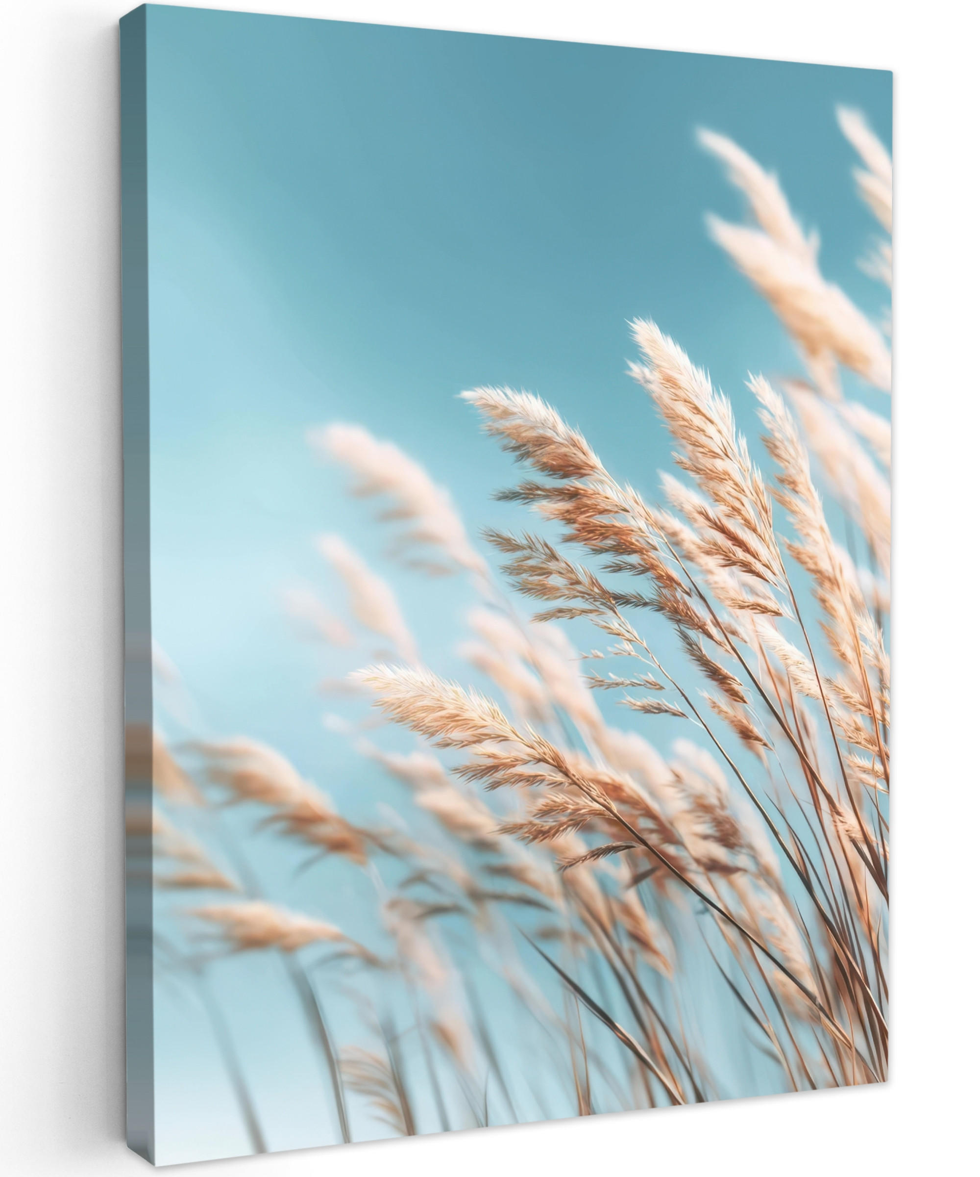 LEINWANDBILD Ziergras - Wind - Hellbraun Room Decor 30x40 cm - Hellblau, Textil (30/40cm) - MuchoWow