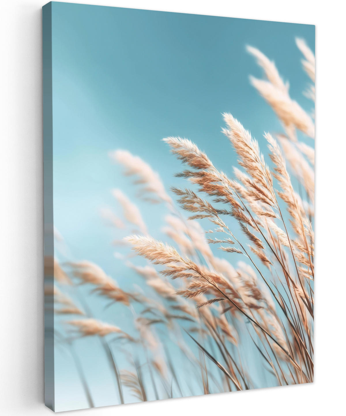 LEINWANDBILD Ziergras - Wind - Hellbraun Room Decor 30x40 cm - Hellblau, Textil (30/40cm) - MuchoWow