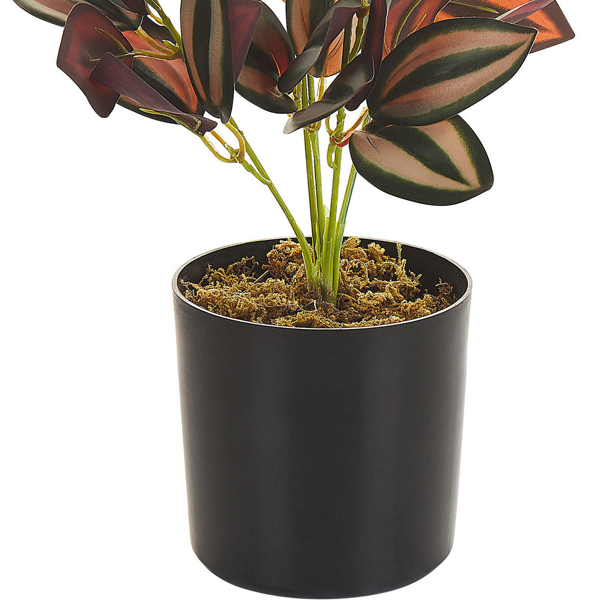 KUNSTPFLANZE im Blumentopf 35 cm Rot/Grün/Schwarz Tradescantia - Rot/Schwarz, Kunststoff (35cm) - Beliani