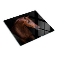 GLASPLATTE 60x52 cm Braunes Pferd - Mokka, Glas (60/52cm) - TULUP