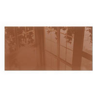 GLASPLATTE für Kamin 100x50 cm - Braun, Glas (100/50/0.4cm) - TULUP