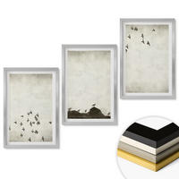 WANDBILDER 3er Set - 40x60 cm Silberner Rahmen - Vögel im Flug, minimalistischer Stil - Silberfarben, Kunststoff (40/60cm) - ArtPrintCave