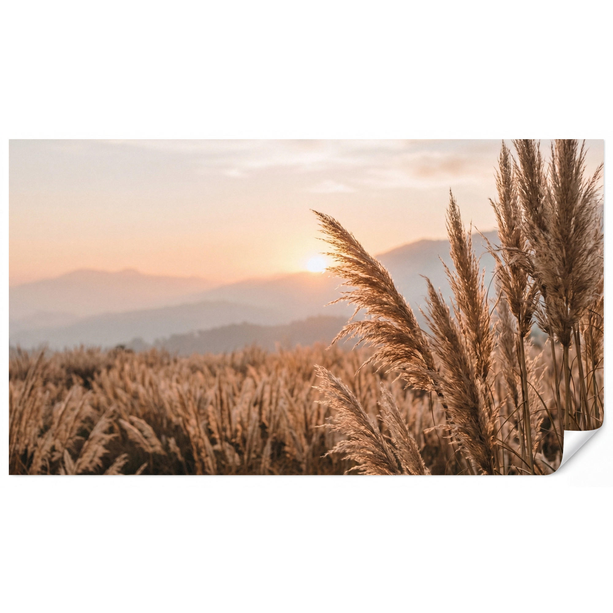 OnlyWow Tapete Sand 350x200 cm