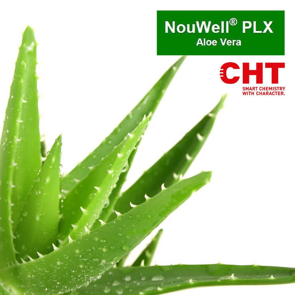 LATEXMATRATZE Coco Aloe Vera 120x200 Höhe 20 cm H2 – 7-Zonen, anpassbar, OEKO-TEX, Bezug mit Aloe Vera - Weiß, Textil - Letti Moderni