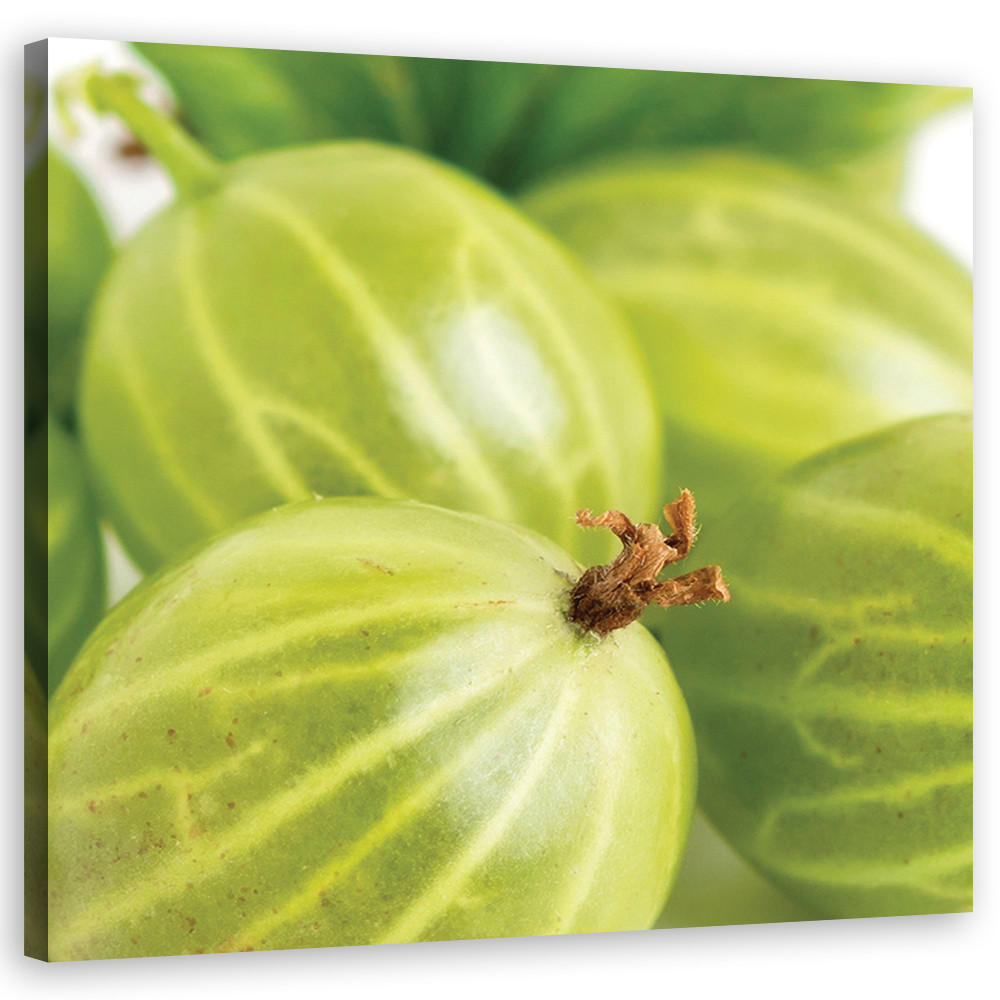 Feeby Wandbild Grün 30x30 cm