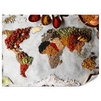 FOTOTAPETE für Küche Gewürz-Weltkarte Kulinarisch Kunst 350x256 - Beige/Gelb, Papier (350/256cm) - Muralo
