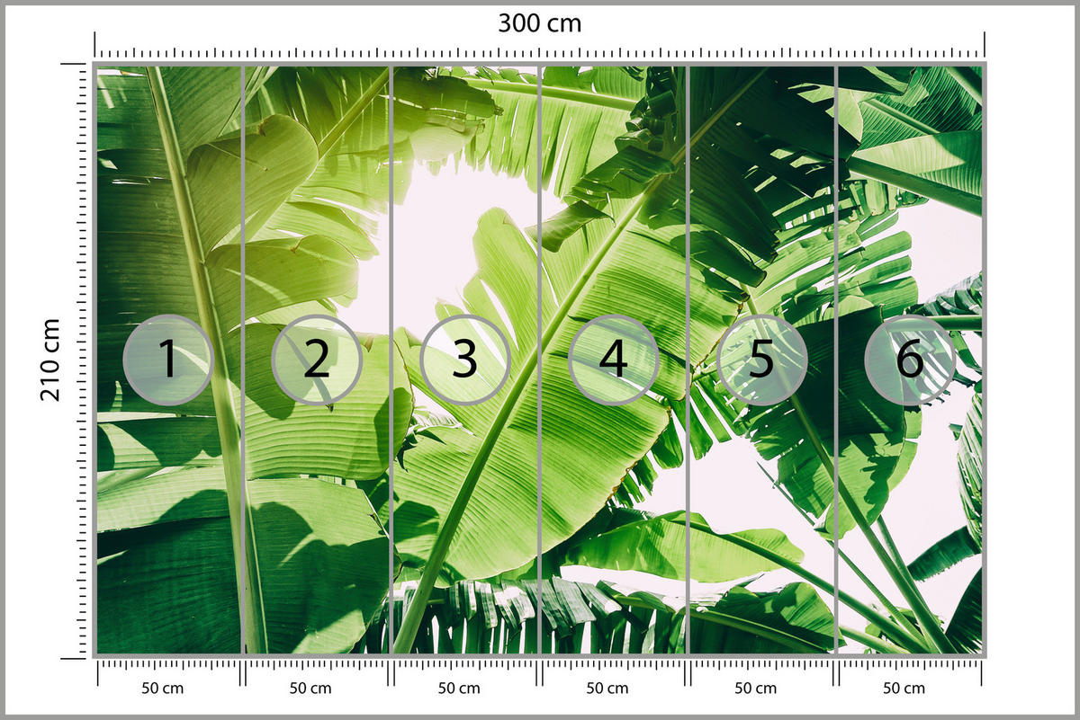 FOTOTAPETE für Wohnzimmer Bananenpflanze Grüne Blätter Tropisch 300x210 - Weiß/Grün, Papier (300/210cm) - Muralo
