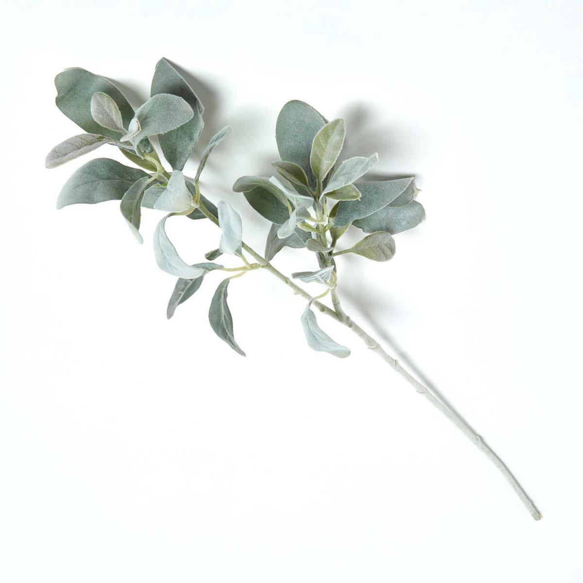 DEKOZWEIG Eselsohr, 70 cm - Grün, Kunststoff (70cm) - Homescapes