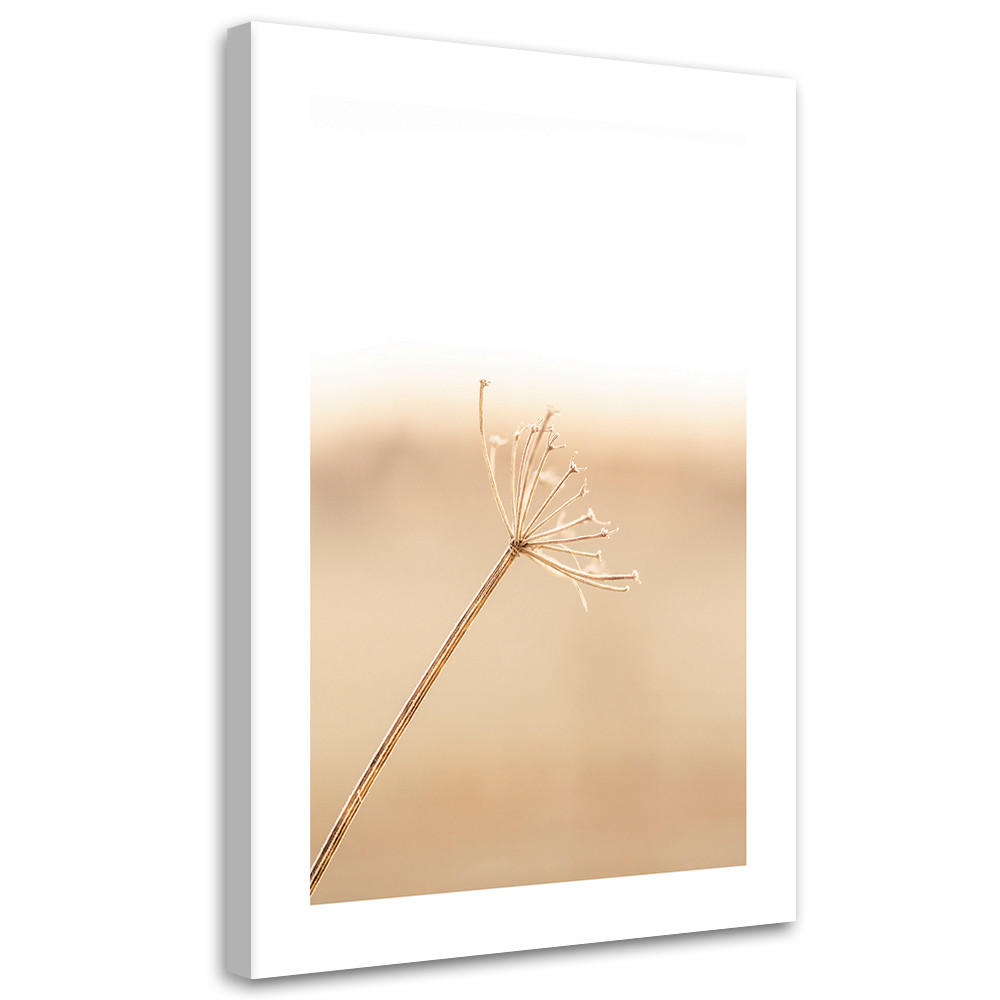 WANDBILD ein einsamer löwenzahn - Beige, Textil (40/60cm) - Feeby