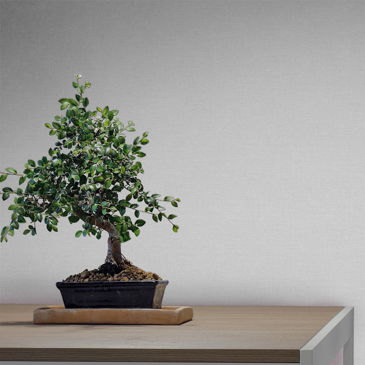 TAPETE Leinen-Optik 53 cm x 10 m - Grau, Papier (53/1000cm) - Sanders & Sanders