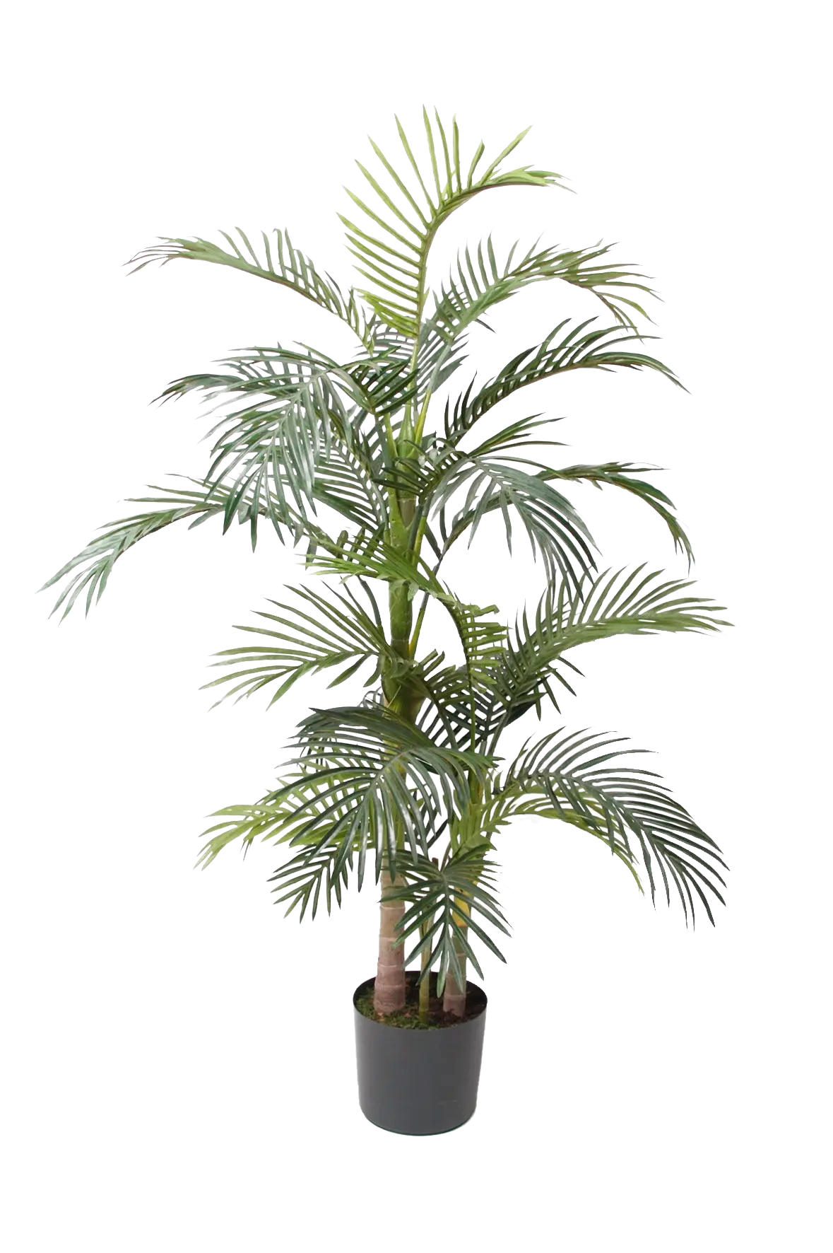 KUNSTBAUM Künstliche Areca Palme - Bobby 170 cm - Grün, Kunststoff (170cm) - Emerald
