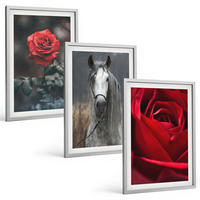 BILDER SET 3er Set - 40x60 cm Silberner Rahmen - Rote Rosen, Pferdegrau, Welt - Silberfarben, Kunststoff (40/60cm) - TULUP
