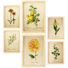 POSTER Set Mit 6 Botanisches Gelb Größe A3 & A4 Rahmen aus hellem Holz - Beige, Papier (29.7/1cm) - Nacnic