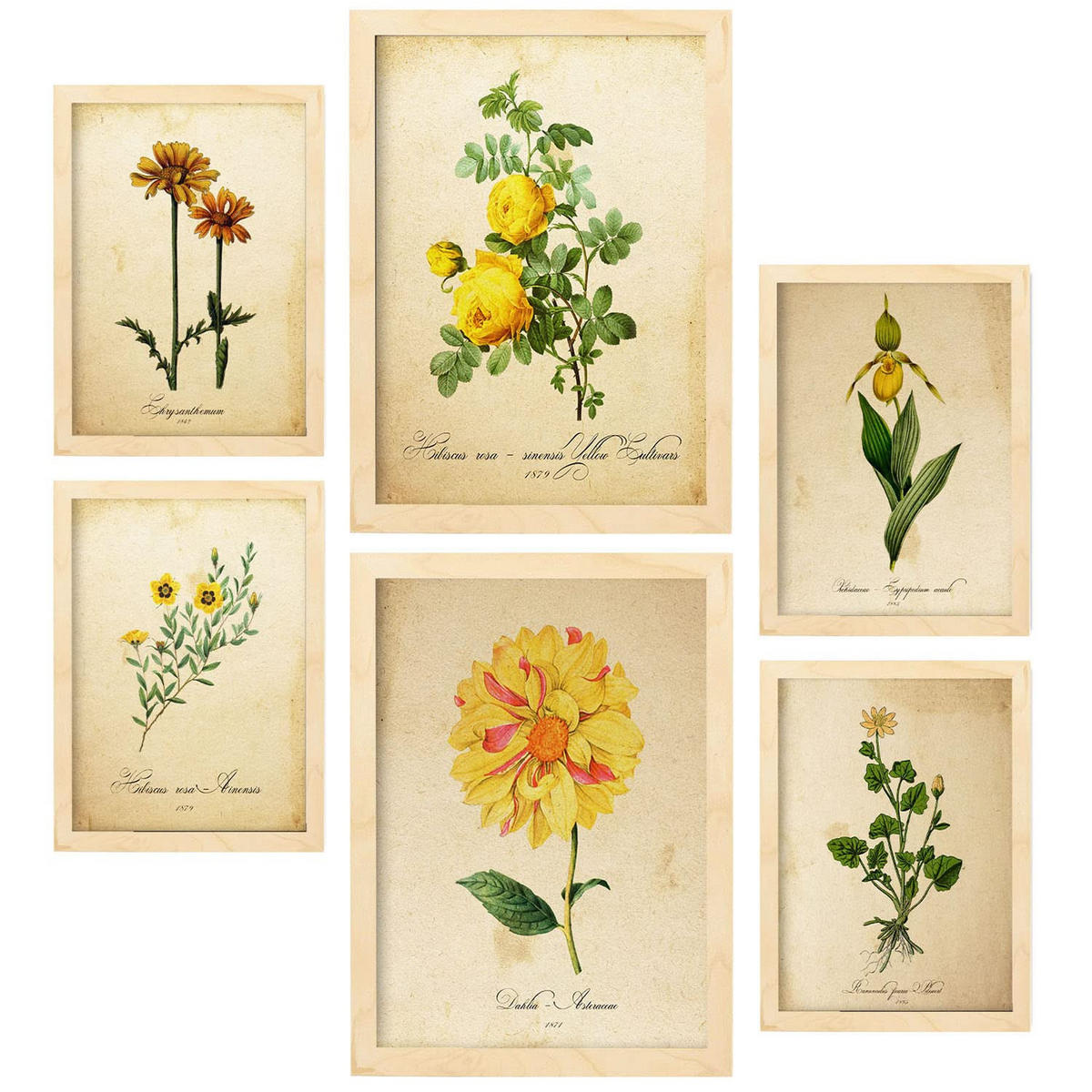 POSTER Set Mit 6 Botanisches Gelb Größe A3 & A4 Rahmen aus hellem Holz - Beige, Papier (29.7/1cm) - Nacnic