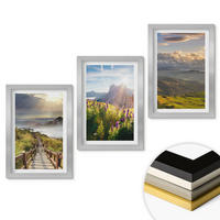WANDBILDER 3er Set - 20x30 cm Silberner Rahmen - Berglandschaft mit Blumen - Silberfarben, Kunststoff (20/30cm) - ArtPrintCave