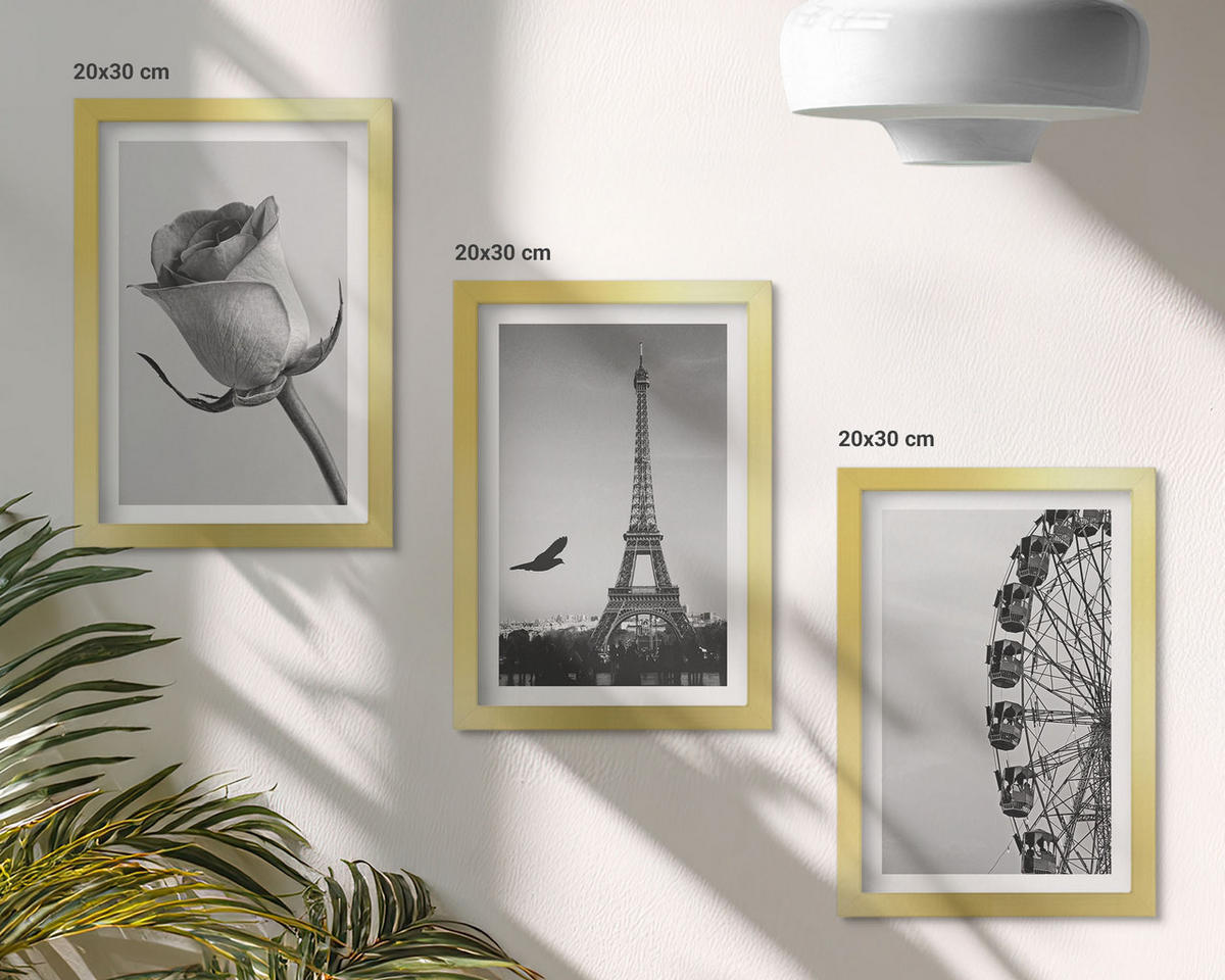 WANDBILDER 3er Set - 20x30 cm Goldrahmen - Rose Eiffelturm Riesenrad - Goldfarben, Kunststoff (20/30cm) - ArtPrintCave
