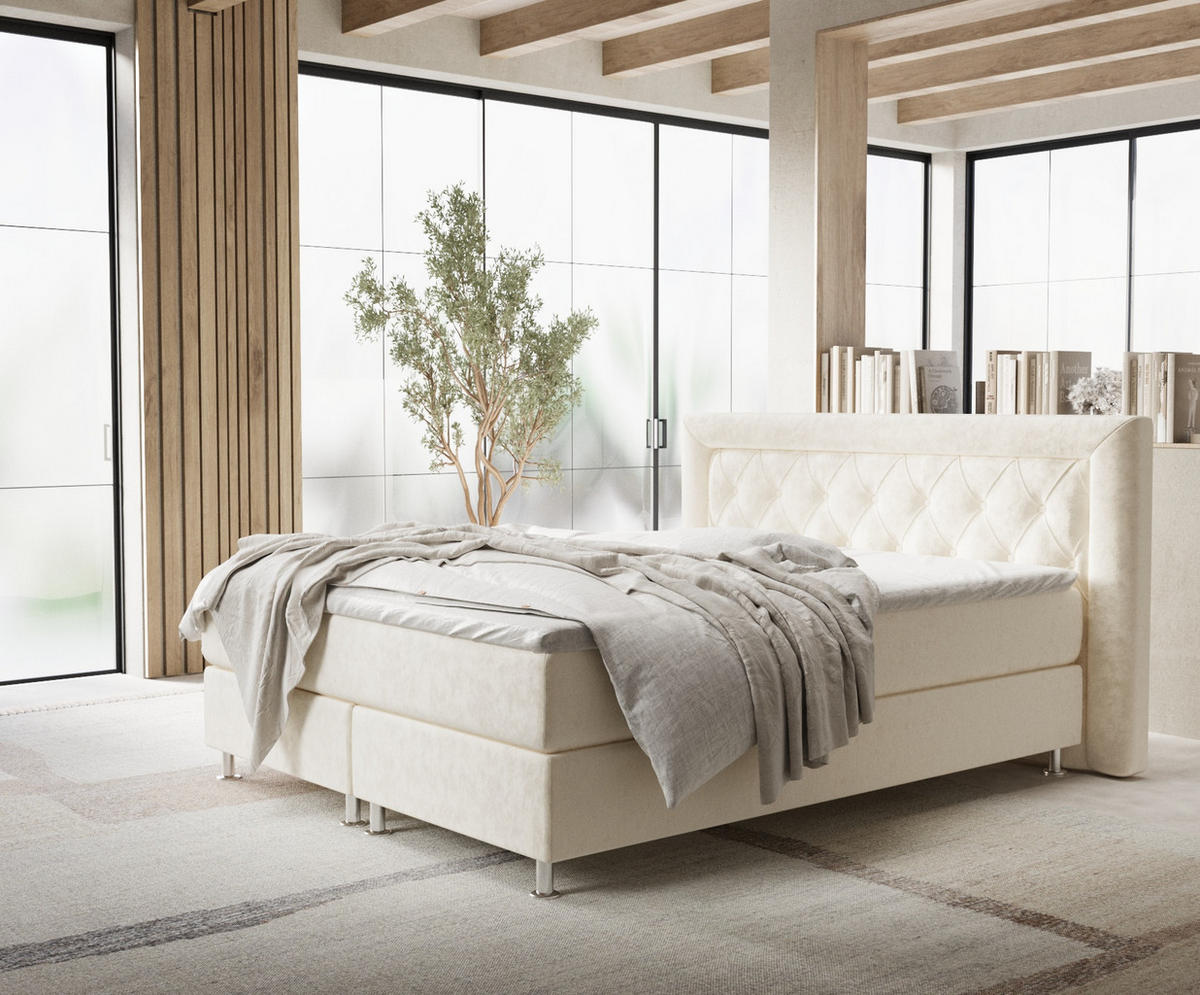 BOXSPRINGBETT Lavello Creme 160/200 cm mit Latex-Topper - Silberfarben/Creme, Holz/Holzwerkstoff (160/200cm) - Maison de Reve