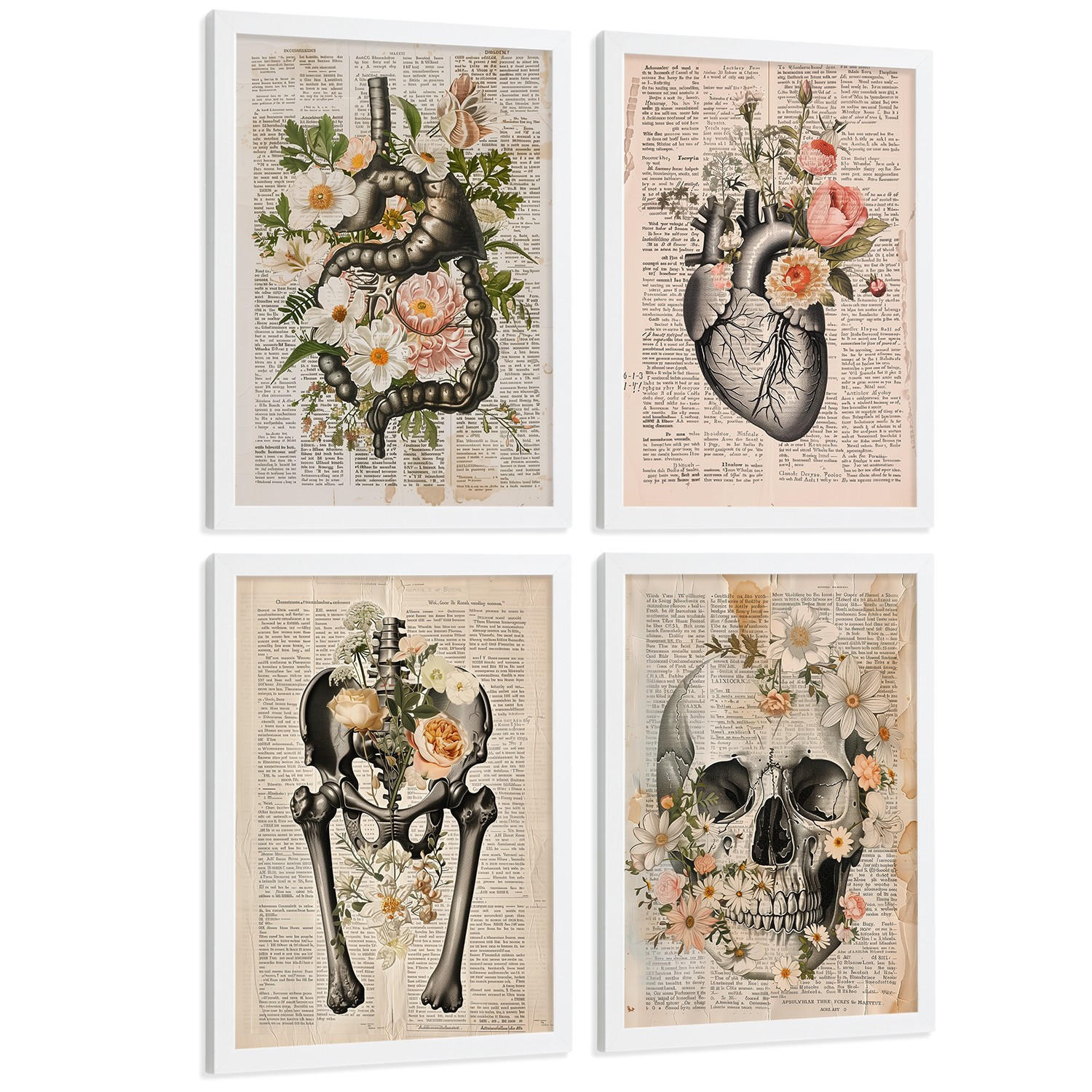 POSTER Set aus 4 Anatomie Mensch Botanische Drucke und mit Organen Herz Verdauungssystem Schädel und Becken Heimdekoration Größe Weißer Rahmen A3 - Weiß, Papier (29.7/42/3cm) - Nacnic