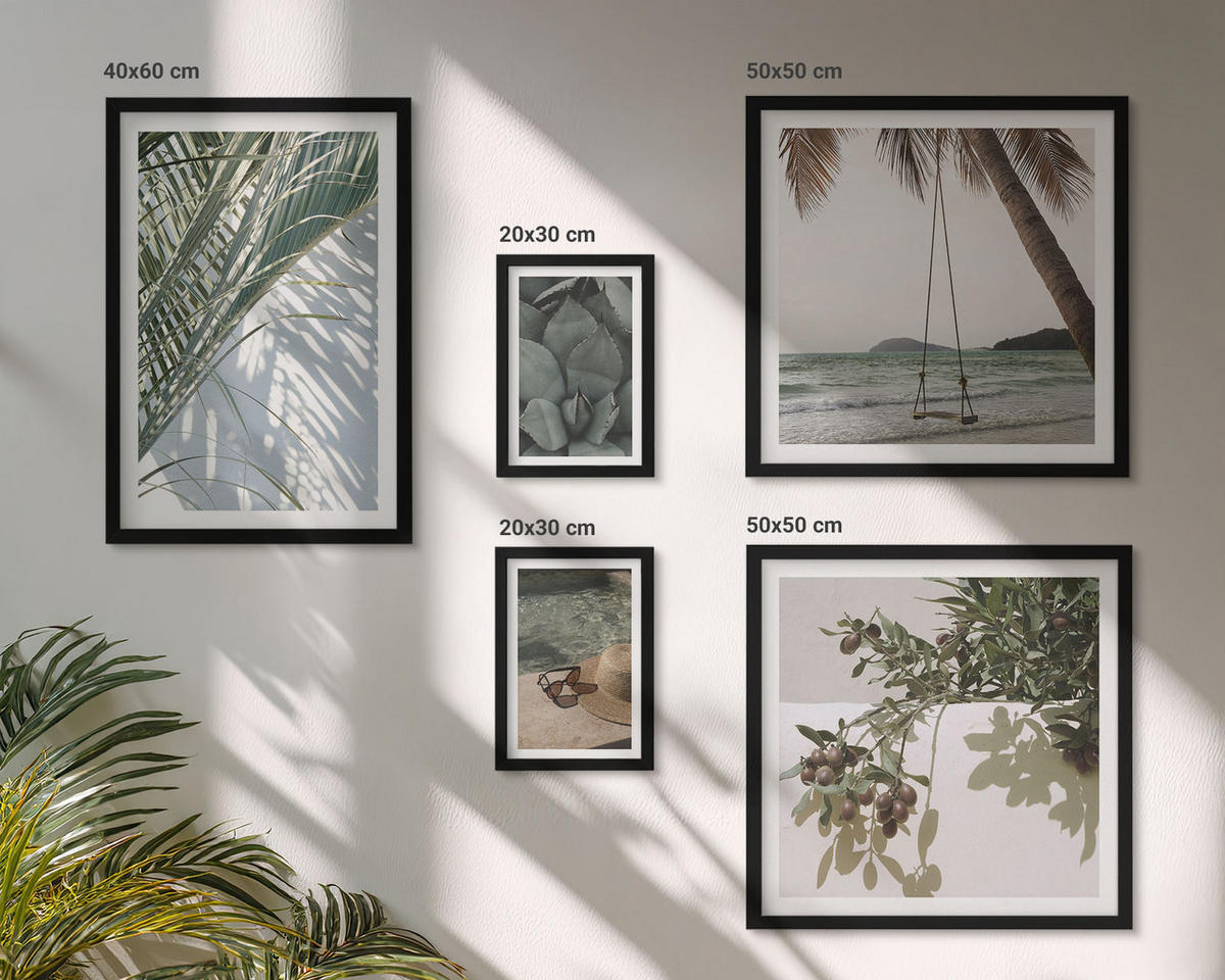 BILDER SET 5er Set - 50x50 cm & 20x30 cm & 40x60 cm Schwarzer Rahmen - Tropische Pflanzen für den Urlaub - Schwarz, Kunststoff (40/60cm) - TULUP