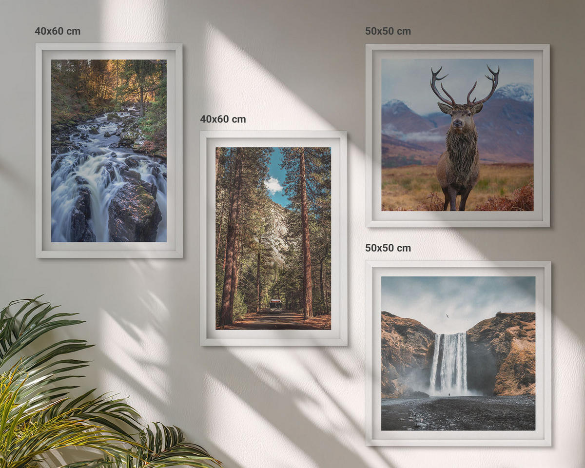 BILDER SET 4er Set - 50x50 cm & 40x60 cm Weißer Rahmen - Wasserfall Wald Berge Hirsch Natur - Weiß, Kunststoff (50/50cm) - TULUP