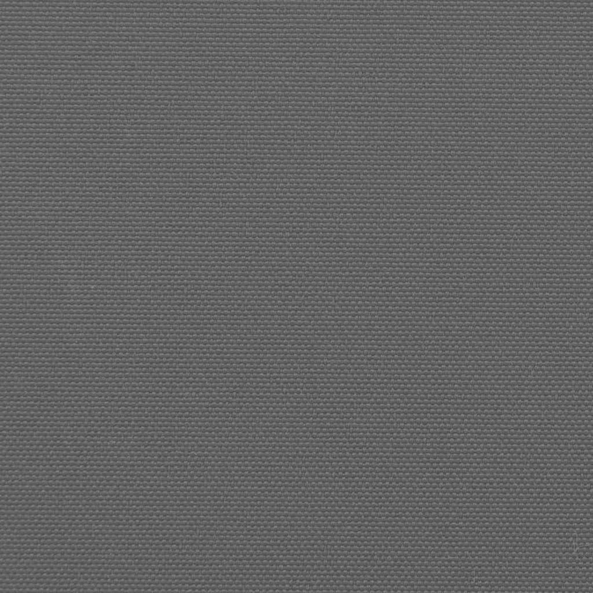 SEITENMARKISE Ausziehbare Anthrazit 100/300 Cm - Anthrazit, Textil (100/300cm) - vidaXL