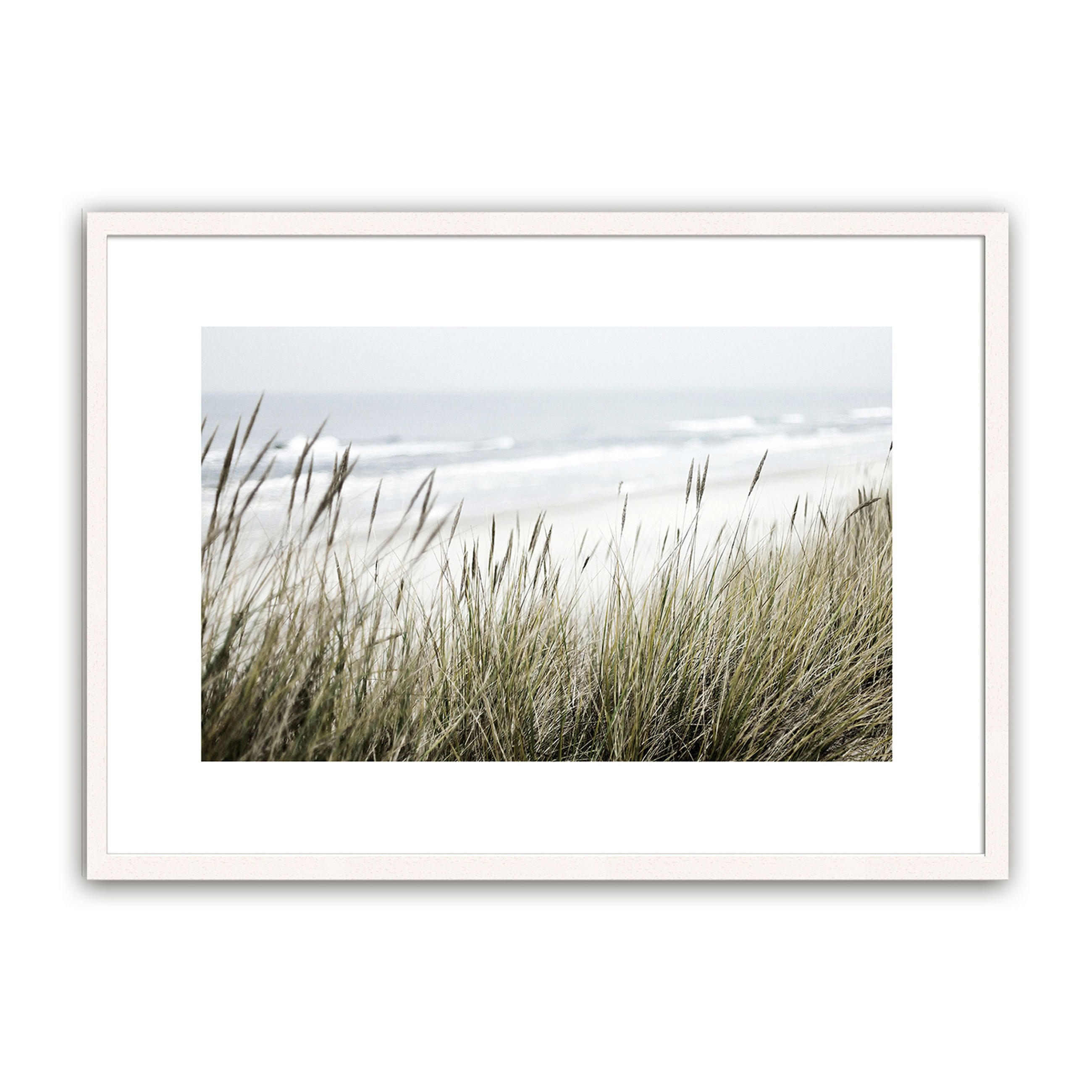 POSTER mit Rahmen 70x50 cm Dünengras Natur - Beige, Holz (71/51cm) - artissimo