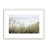 POSTER mit Rahmen 70x50 cm Dünengras Natur - Beige, Holz (71/51cm) - artissimo