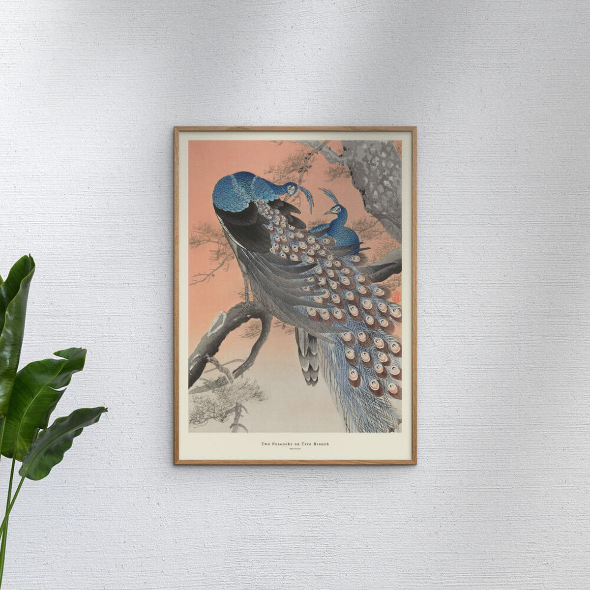 POSTER mit Rahmen A.P. Atelier - Two Peacocks on Tree Branch - Eichefarben/Multicolor, Holz/Papier (70/100cm) - Poster&Frame