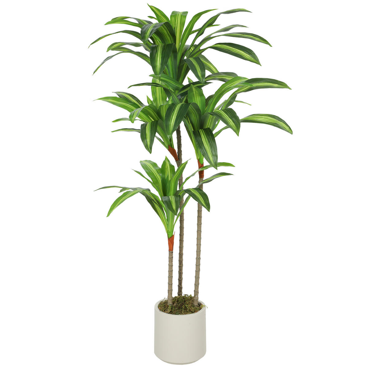 KÜNSTLICHE Pflanzen Grün 60.0/40.0/120.0cm - Grün, Kunststoff (120cm)